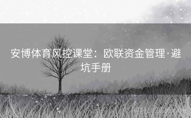 安博体育风控课堂:欧联资金管理·避坑手册  第2张 安博体育风控课堂:欧联资金管理·避坑手册  第2张