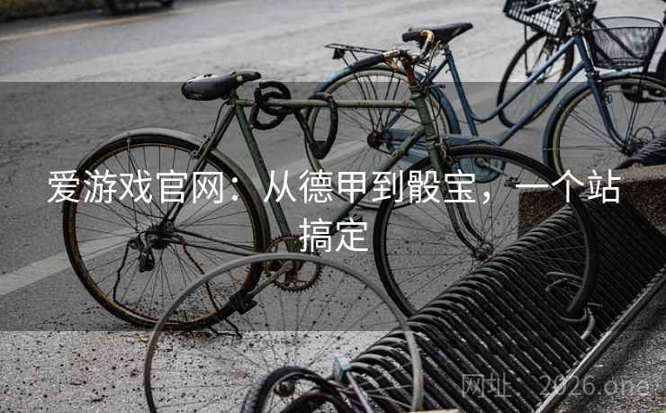爱游戏官网:从德甲到骰宝,一个站搞定  第2张 爱游戏官网:从德甲到骰宝,一个站搞定  第2张