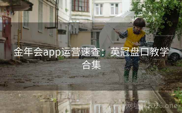 金年会app运营速查:英冠盘口教学合集  第2张 金年会app运营速查:英冠盘口教学合集  第2张