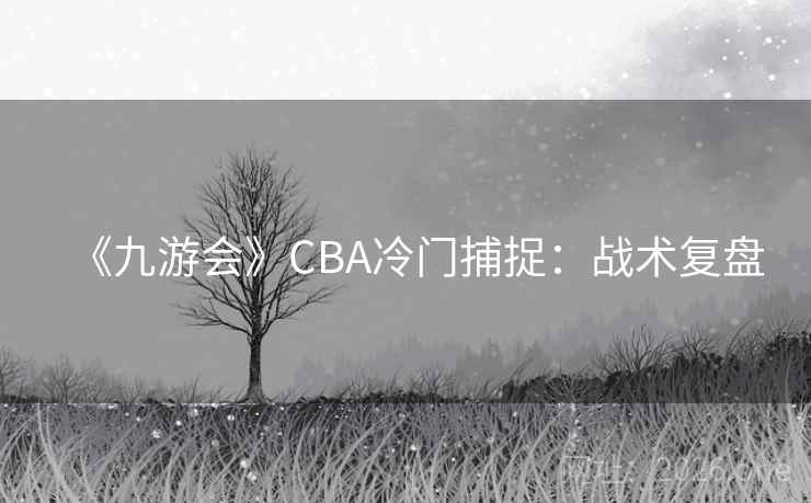 《九游会》CBA冷门捕捉:战术复盘  第2张 《九游会》CBA冷门捕捉:战术复盘  第2张